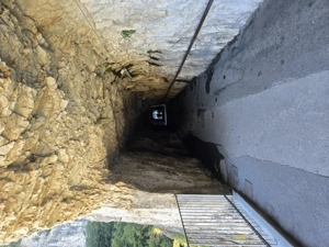 Hemmungslos und unterwürfig