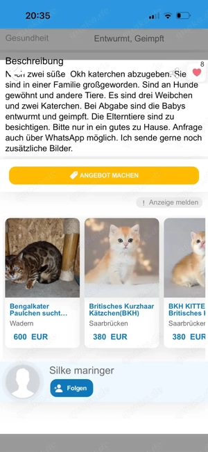 Achtung!! OKH Kitten aus Beckingen im Saarland!! Bild 4