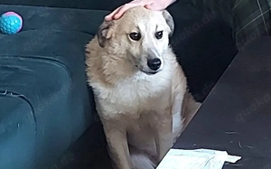 Zeigst du Thanos ein schönes Leben?