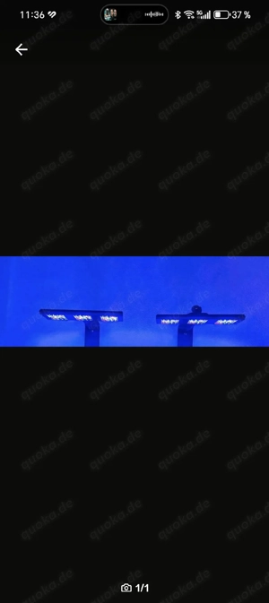 2xReef Factory Blue L 