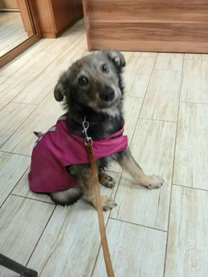 Wo darf ich mein Körbchen platzieren