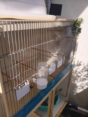 Zuchtkäfig Firma graf  Bild 5