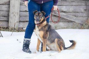 Amira möchte endlich ein liebevolles Zuhause Bild 4