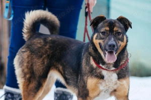 Amira möchte endlich ein liebevolles Zuhause Bild 9