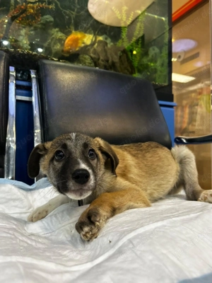 Öffnet euer Herz für mich.