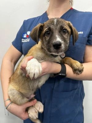 Öffnet euer Herz für mich.