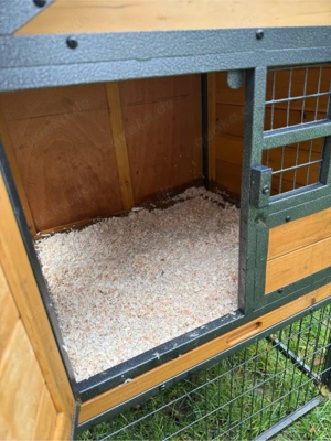 1 Zwergkaninchen mit Gehege Bild 4