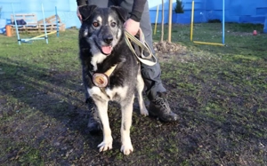 Lenny möchte nochmal durchstarten Bild 4