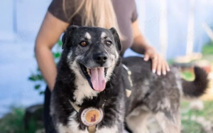 Lenny möchte nochmal durchstarten Bild 7