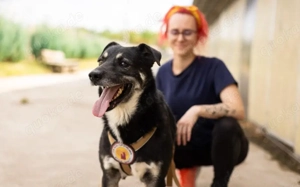 Lenny möchte nochmal durchstarten Bild 9