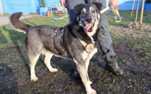 Lenny möchte nochmal durchstarten Bild 2