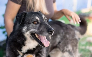 Lenny möchte nochmal durchstarten Bild 6