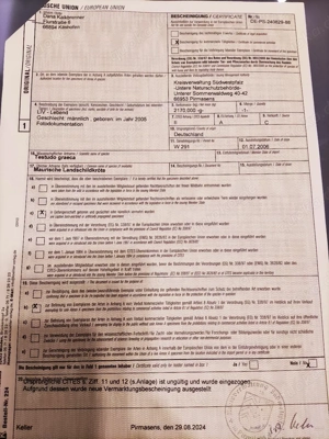 Testudo Graeca Bild 3