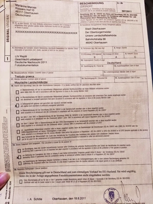 Testudo Graeca  Bild 3