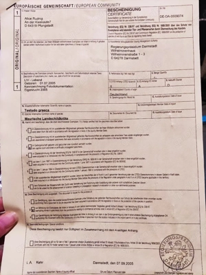 Testudo Graeca  Bild 3