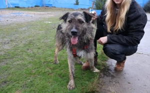 Wo Mika ist, ist das Herz zuhause. Bild 4