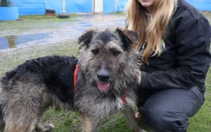 Wo Mika ist, ist das Herz zuhause. Bild 3