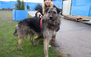 Wo Mika ist, ist das Herz zuhause. Bild 2