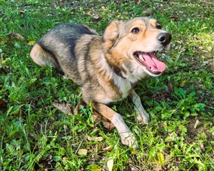 Emily - ein Mädchen wie aus dem Bilderbuch