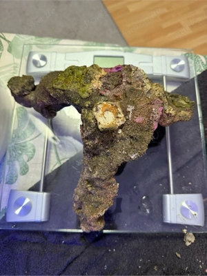 ca 14 kg atoll epo reef meerwasser stein lebendgestein