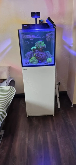 Meereasseraquarium RedSea Nano Peninsula