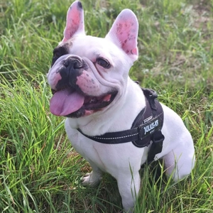 Deejay - ist genügsam Bild 3