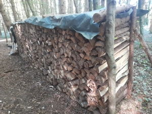 v. Privat: Brennholz Fichte, gespalten, 1m Scheite, 