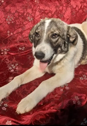 Traumhafte Schwestern warten auf Ihre Bewerbung