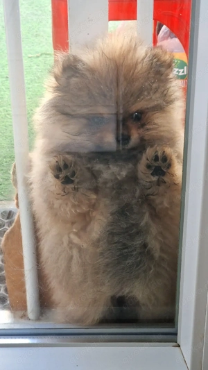 Ab sofort Abgabebereit 