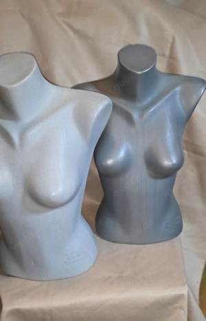 Halbe Torso 2 Stück Bild 2