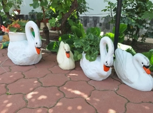 Exklusive Gartendeko & Pflanzgefäße - Handgefertigt - Weißer Steinguss Bild 5