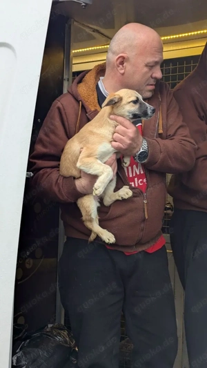 Kleine Entdeckerin Alice 