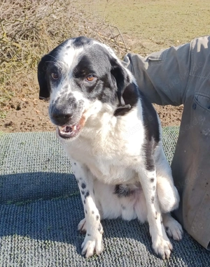 Rez sucht liebes Happy-Home 