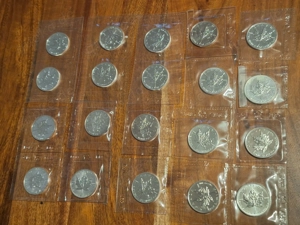 20  x 1 Oz  Maple Leaf  Jahrgänge 1988-95 ; NUR BARZAHLER ABHOLER NÄHE Hildesheim direkt an der A7 