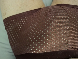 Reifer Hengst sucht reife Stute 