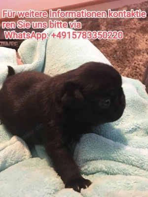 Nimm mich mit nach Hause.