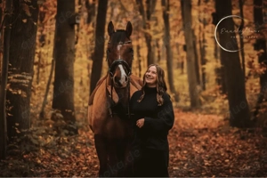 Reitbeteiligung gesucht! 