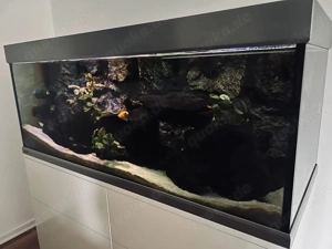 EHEIM Proxima 325 - Komplettset!