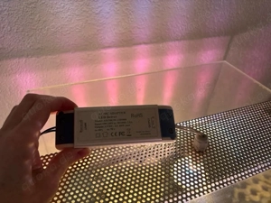 Heuschrecken Terrarium