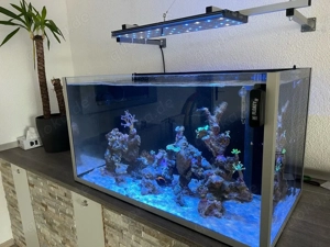 meerwasser becken auflösung 