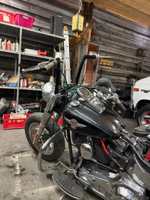 Harley Davidson Fatboy Softail sonderedition 2005 HD1 Bild 4