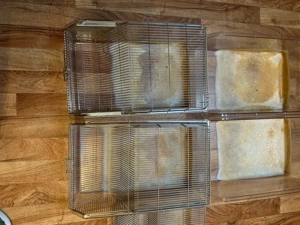 Makrolon Käfig zur zucht für Mäuse u Ratten Bild 3