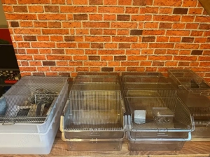 Makrolon Käfig zur zucht für Mäuse u Ratten