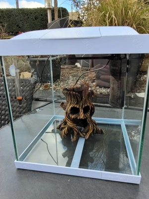 30L Aquarium komplett mit Sera Filter & Zubehör
