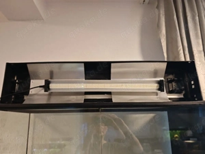 Exoterra Exo Terra Terrarium Paludarium 