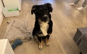 Wer schenkt Cara endlich ihr endgültiges Glück?