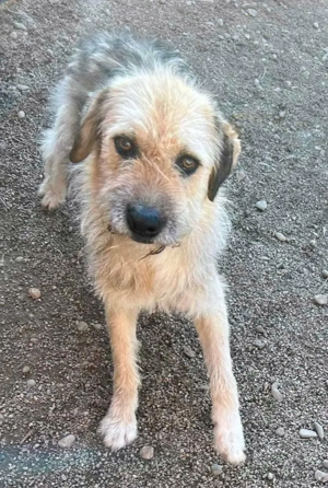 Kalle wartet und wartet...