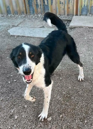 Neo möchte dazugehören