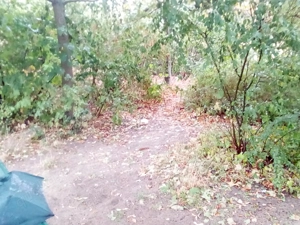 Blasmund Loch für Ihn , Blowjob kostenlos Bild 2
