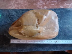 Terrarium Tunnelsystem 